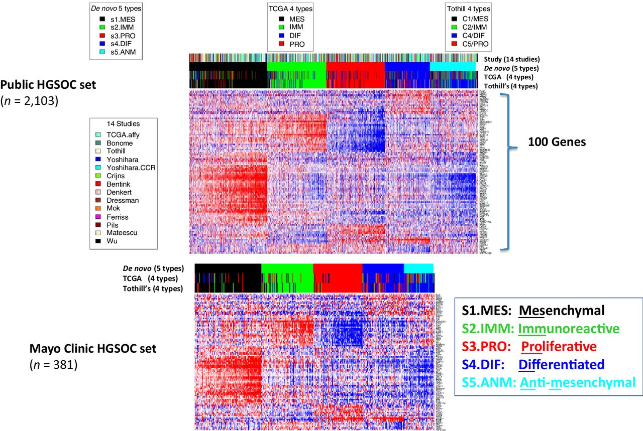 Clinical outcome related cancer genes