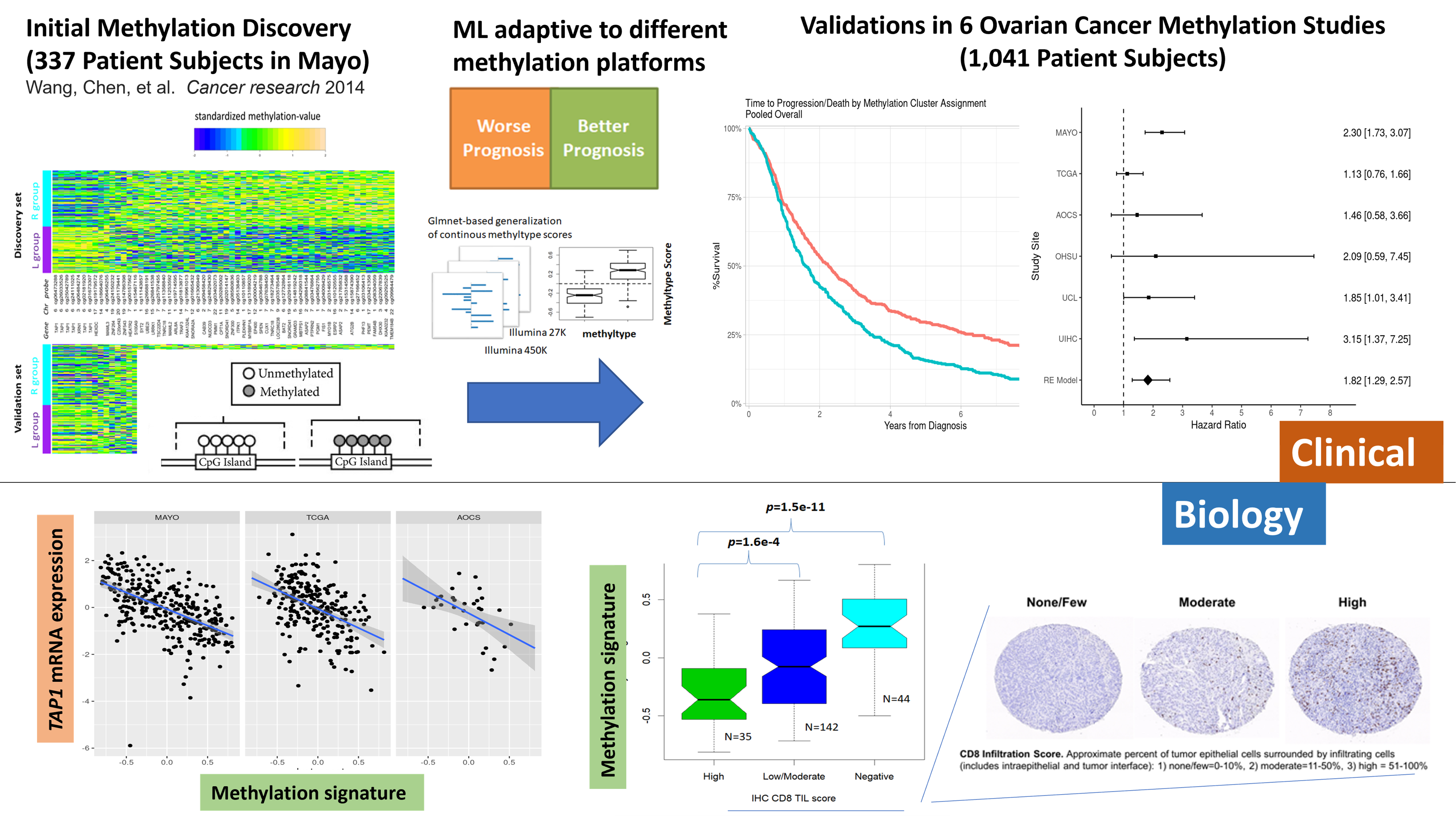 Immuno-Suppressive Methylation Signature