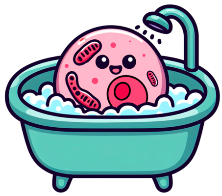 MxIF Cell Clustering